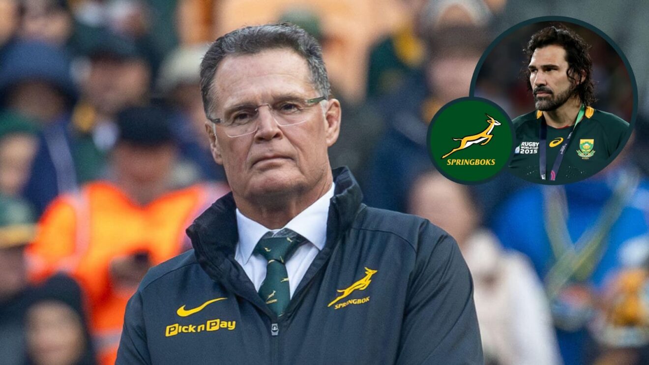 two layer Springbok rugby image