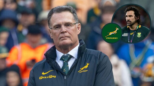 two layer Springbok rugby image