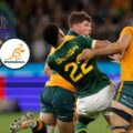 Wallabies centre banned after dangerous tackle on Springboks fly-half and misses All Blacks Tests