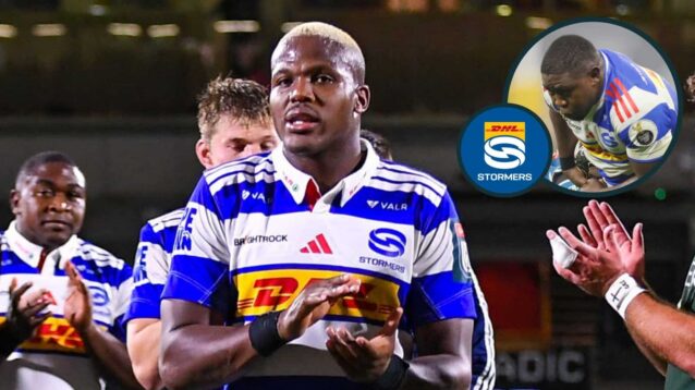 Stormers player ratings: ‘Diabolical lineout’ costs John Dobson’s side dearly as Siya Kolisi loses second debut