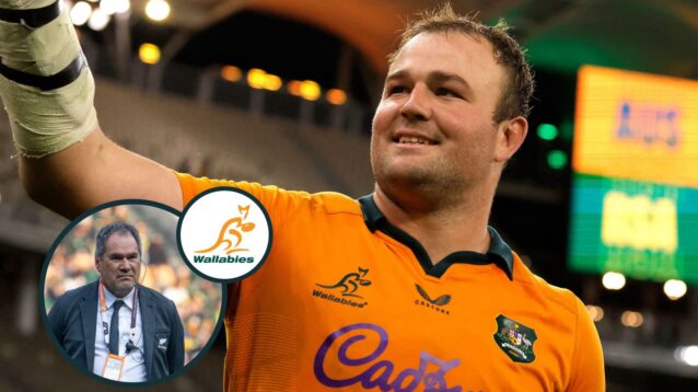 two layer Wallabies rugby image