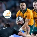 Les Kiss backs Wallabies to ‘return fire’ in Bledisloe Cup rematch in Sydney after heavy Eden Park defeat