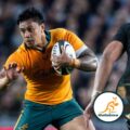 Wallabies: Les Kiss forced to make changes to his squad for Bledisloe Cup rematch