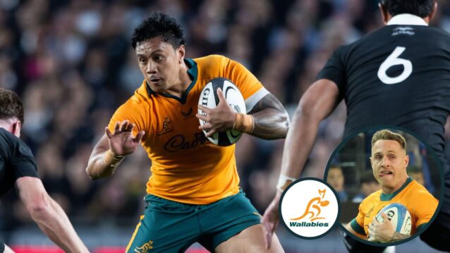 two layer wallabies rugby image