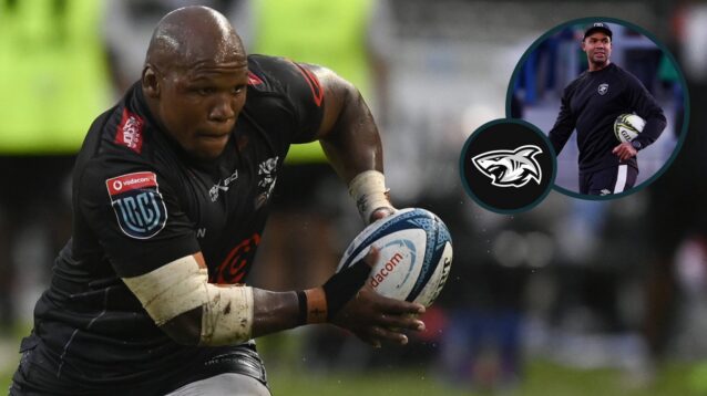 Bongi Mbonambi and JP Pietersen image