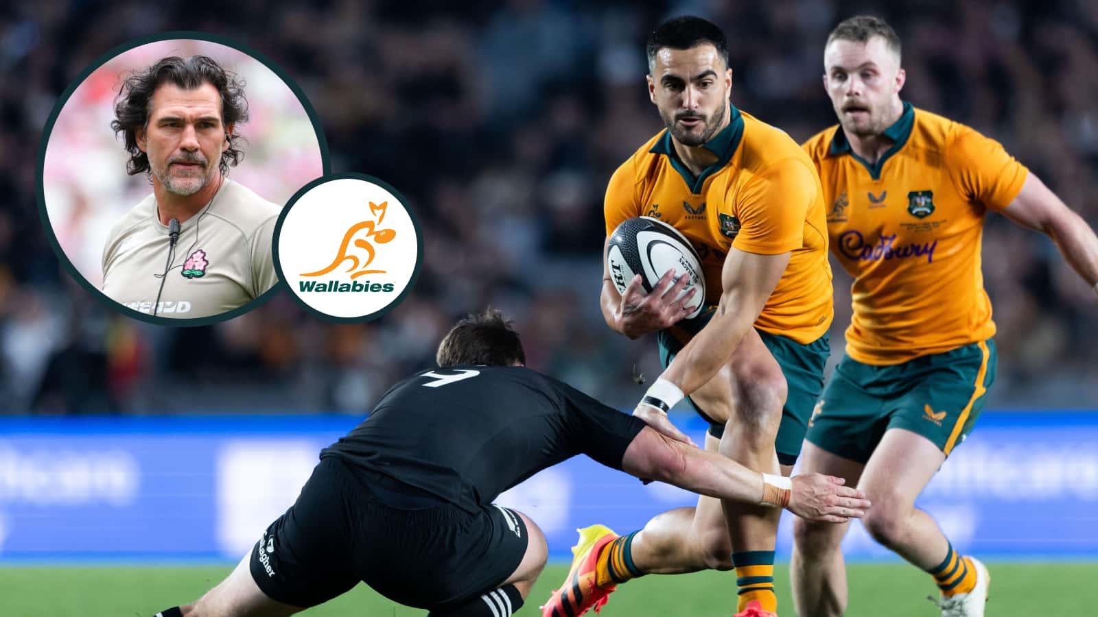 Springboks Ireland Springboks legend's theory for Wallabies struggles against All Blacks ...