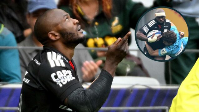 Stormers winger Seabelo Senatla and an inset of Siya Kolisi.