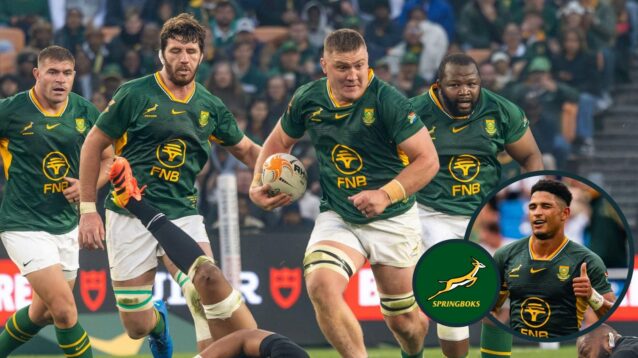 Jasper Wiese and Sacha Feinberg-Mngomezulu are vital to the Springboks.