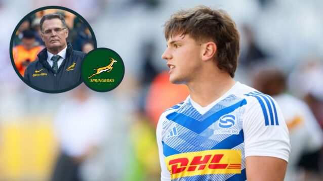 Stormers centre Markus Muller and an inset of Springboks head coach Rassie Erasmus.